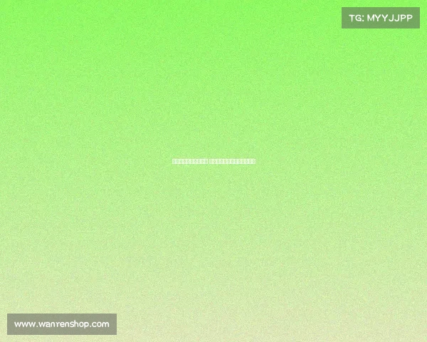 林诗栋全锦赛男单夺冠 创历史新高展现卓越羽坛实力